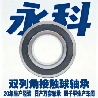 3300 3301 3302 3303 3304 3305 3306 3307 3308 3309 2RS 轴承