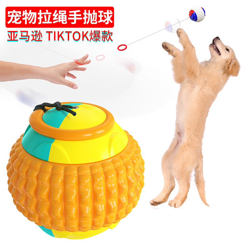 宠物用品宠物玩具手丢抛扔玩具球狗狗训练磨牙耐啃咬球橡胶玩具球