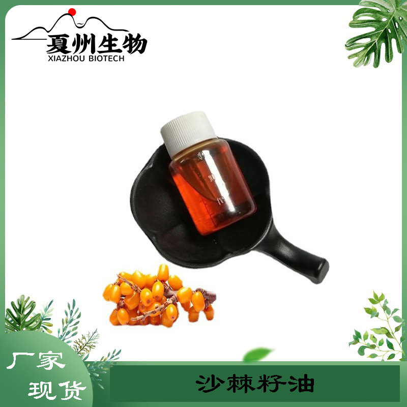 沙棘籽油 98%  沙棘籽提取物 另沙棘果油 夏州生物优质供应 现货