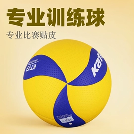 篮球;足球;排球