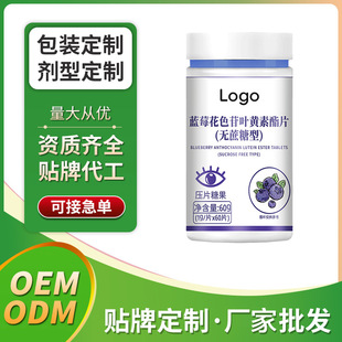 ���� �{ݮ��ɫ���~�S����Ƭ OEM�N�ƶ��ƾS����ƬVC���S���lODM