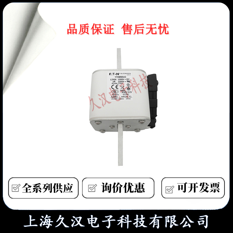 170M8541 170M8542 170M8543 170M8544 BUSSMANN 熔断器 保险丝
