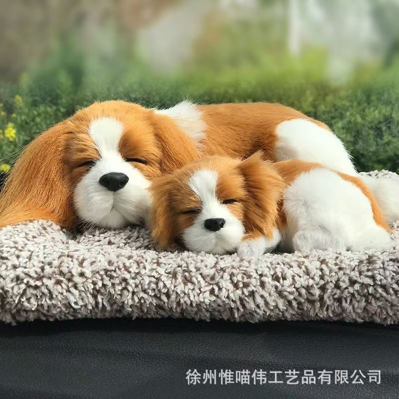 Madre e hijo Charlie se acostó frente a la cama + cabello gris