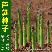 ���羳��؛���J�S�N���̨���ԾGɫ�J�S��ɫˮ���J�S��ɫ�J�S�N��