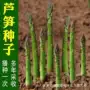盆栽跨境白色紫色种子