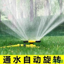 �Ȳˈ@036�r���ԄӞ�ˮ���������D���^������ƺ�ܲ˾G��ҊԔ��