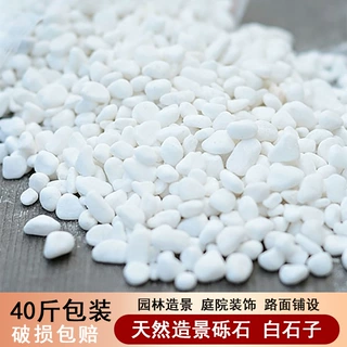 白石子现货批发白色鹅卵石子透水骨料庭院铺面造景水洗石磨石砾石