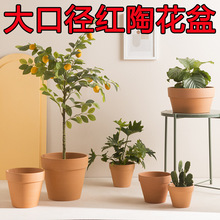 ?�����մ�͸���������Լ�������ܶ�������������������
