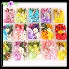 【定款花盒】干花永生花香薰蜡烛DIY花材儿童干花相框团扇材料包