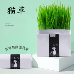 Manufacturer wholesale cat grass wheat seeds potted cats ready-to-eat hair ball tablets lazy cat snacks