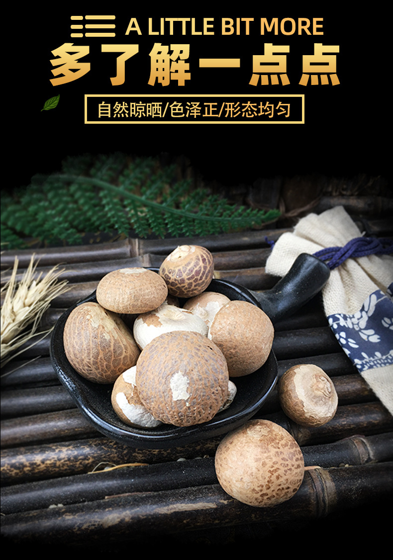 Golden Thread Bodhi Seeds Jin Si Pu Ti Zi Hand Selected Raw Beads for Prayer Beads and Mala Crafting 500g key features