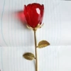 Large bud color note