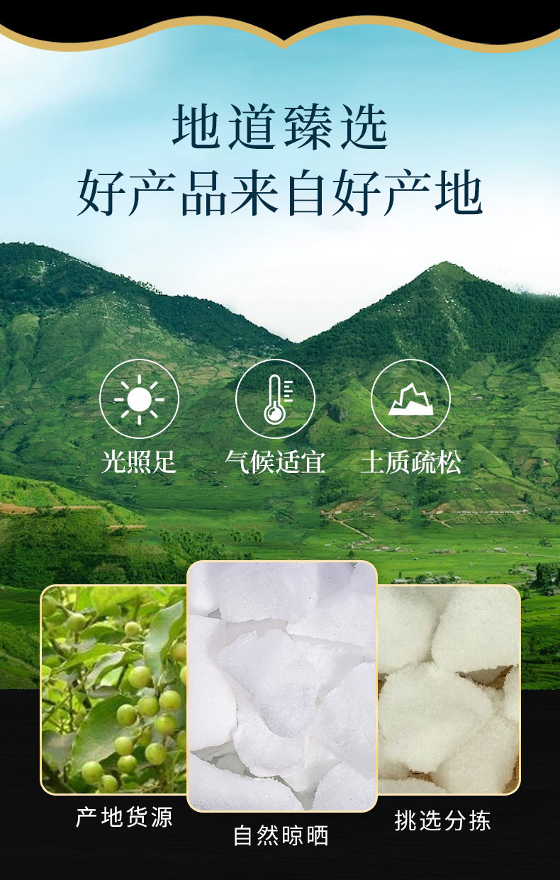 Camphor (Cinnamomum camphora) — Traditional Aromatic Herb, Blocks & Powder for Culinary & External Use specifications
