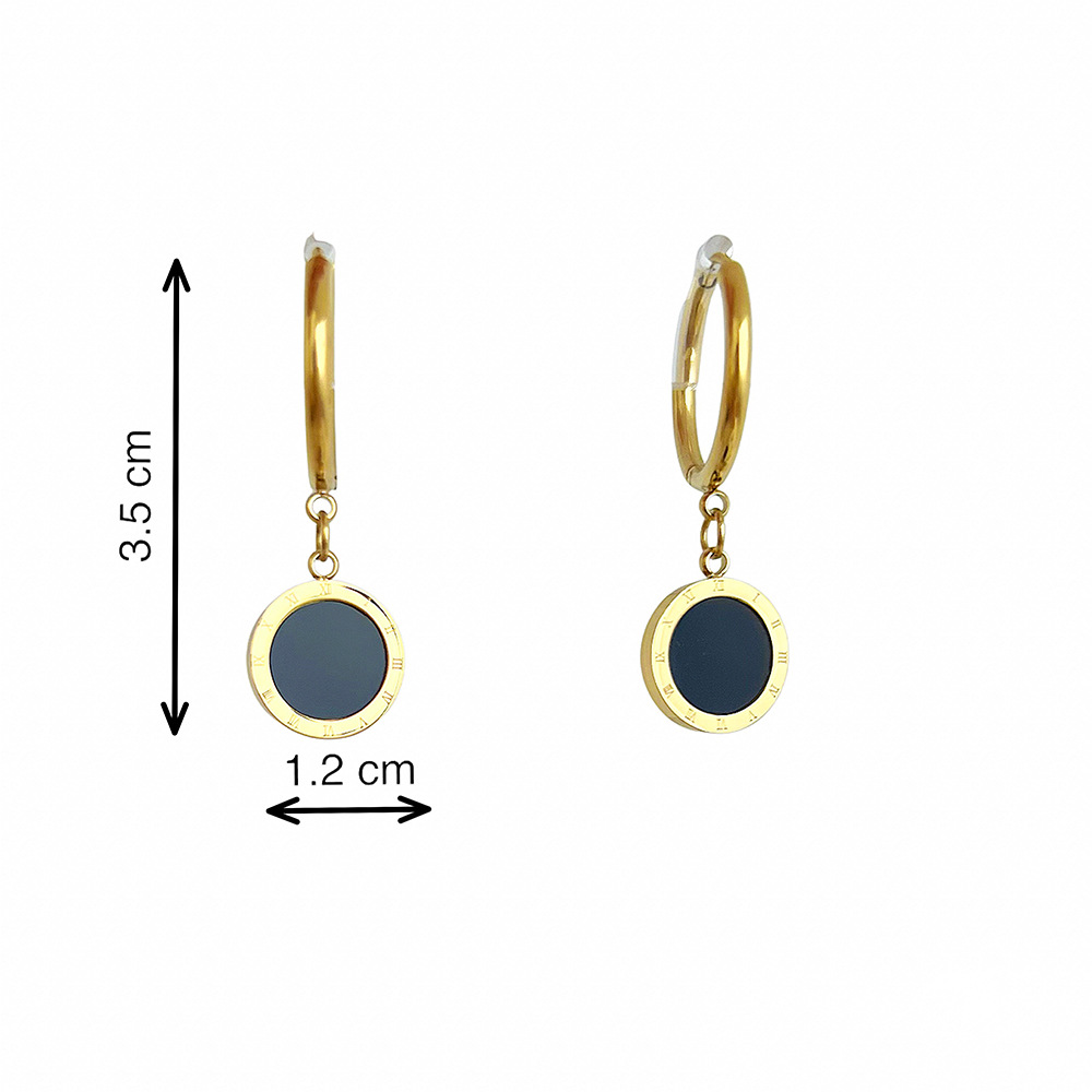 Femmes Style Simple Rond Acier Inoxydable Des Boucles D'oreilles Placage Métal Boucles D'oreilles En Acier Inoxydable display picture 2