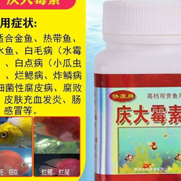 烂烂尾炸鳞药锦鲤庆大霉素烂肉锦鲤鱼鱼用锦鲤鱼身药