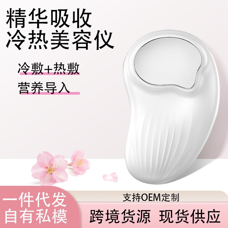 Importador de Belleza Facial Frío y Calor con Iones Negativos para Hogar