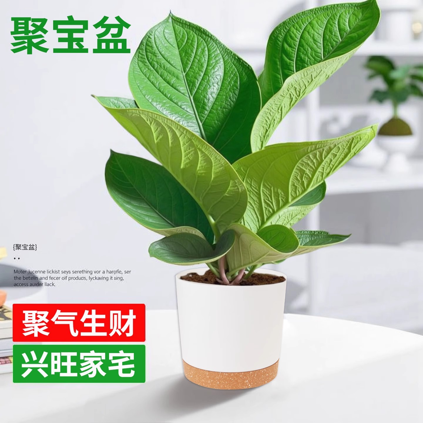 商品图