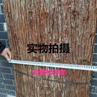 �͹ŵ���ɼľ���b����쾰ɼˮ�ܷ����rׯ��ƤƤ���⠝��Ƥ�r��