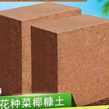 Ҭ�u�I�B��ͨ����Ҭ���B���N�������Nֲ��K������������