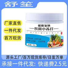 300g�r��С�K������a̼����c�Nֲ�N�˚��x�r������x���߲˳��x