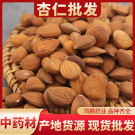 中药材批发杏仁  带皮去皮苦杏仁甜杏仁免费打粉各种规格量大从优