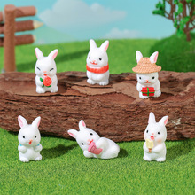 ΢�sС���Ә�֬�[�� 6��ɐۿ�ͨä�� ΢���^�@ˇ�辰�b�Ʒ