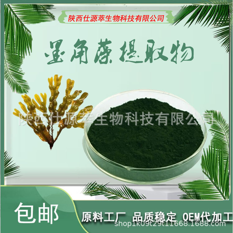 墨角藻提取物 20：1 墨角藻多糖速溶浓缩提纯粉 墨角藻粉末