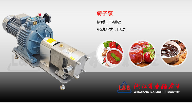 百力仕转子泵新_02