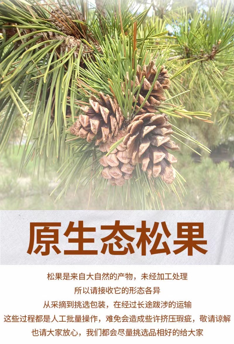微信图片_20221101212215