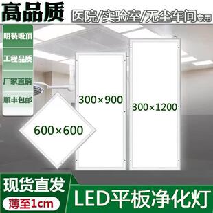 Lei Shiji Led Purification Lamp Flat Panel Lamp Clean Lamp 30X120 Ceiling Lamp Thin Dust-Free Workshop Clean Room Surgery