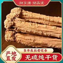 �h���l�����o��Ǹ��Cếh��Ʒ�h�����l��؛���l�Ҝ���ˮ���M��Ƭ