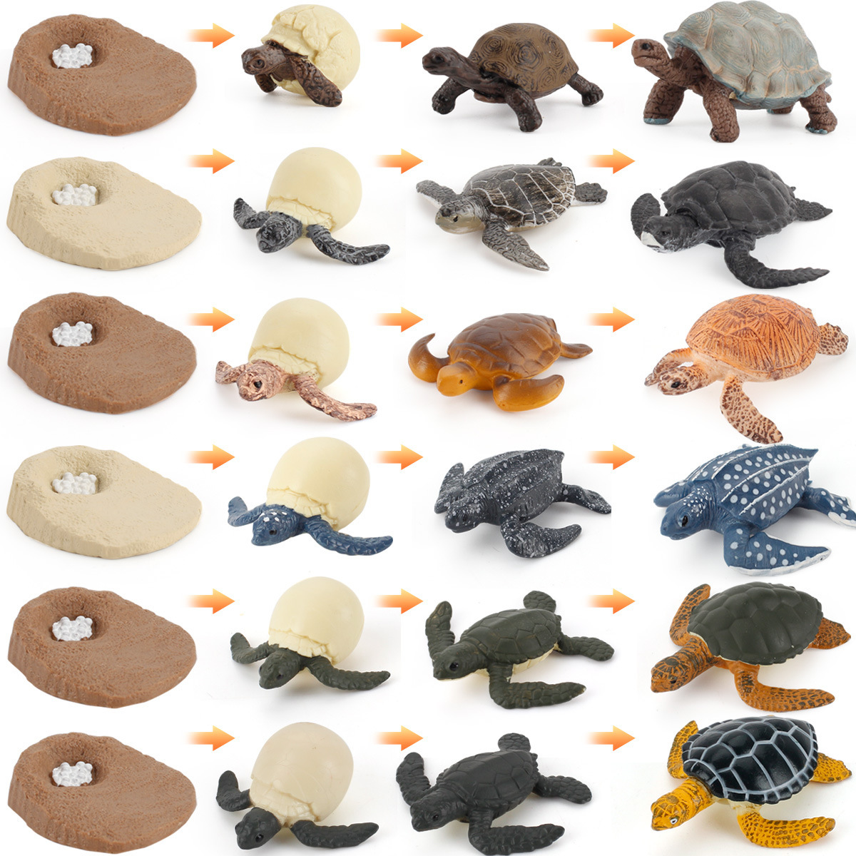 Exportación transfronteriza Simulación infantil modelo animal marino Tortuga cocodrilo pulpo ciclo de crecimiento educación temprana juguetes cognitivos