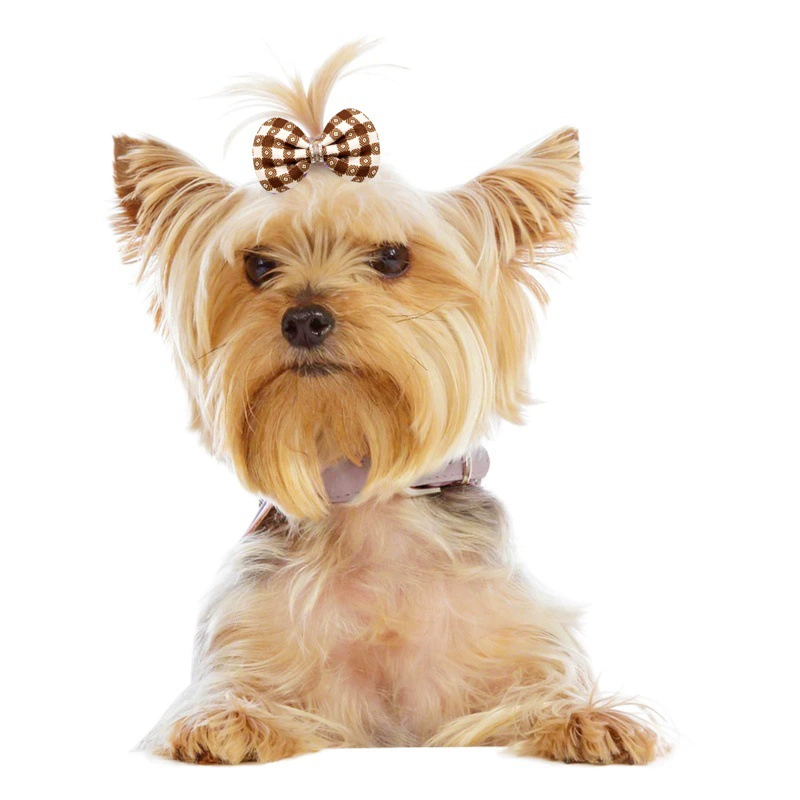 Трансграничный Новый головной убор для домашних животных Цветок однотонный Многоэлементный модные аксессуары для волос с цветочными кошками и собаками