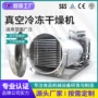 干燥真空冷冻冻干冻干机