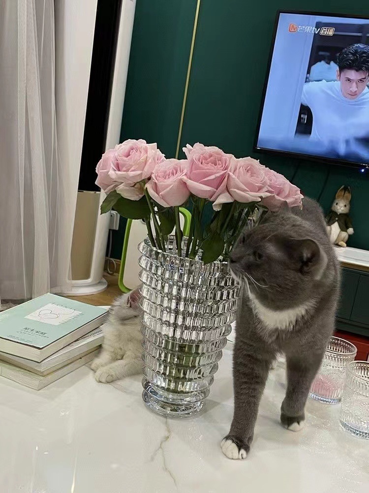 微信图片_20211102172048