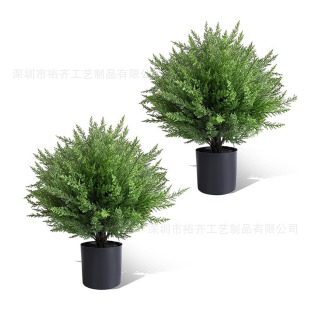 ���R�d�羳�ɲ��b�ɰؘ�̰����ԾGֲ���l�Ƶ�����b��}�Q��[��