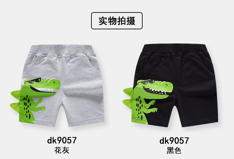 dk9057_07.jpg
