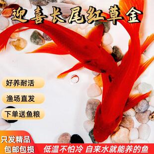 ���N�Pβ��t��С���~�\����ˮ�^�p�~�綬�����B���ԁ�ˮ��ˮ���~