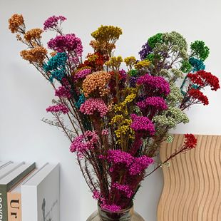 ������С�׻� ���r���ײ� DIY�Ҿ��b����������ָɻ�����С�׻�
