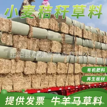 小麦秸秆干草捆麦苗秸秆养殖牛羊马草饲料秸秆50斤