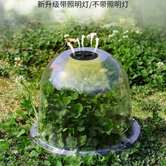 园艺绿植保温罩迷你温室养殖透气育苗罩塑料PET透明园林育苗罩