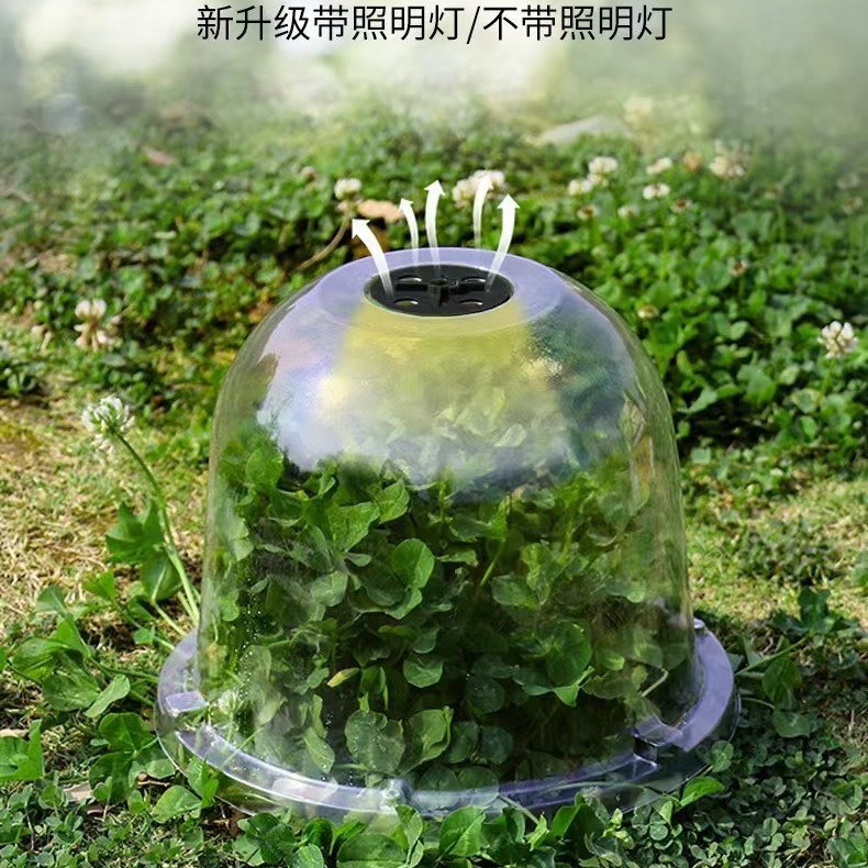 园艺绿植保温罩迷你温室养殖透气育苗罩塑料PET透明园林育苗罩|undefined