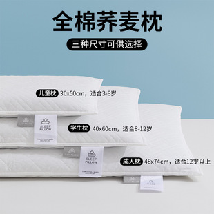 Full Buckwheat Pillow, Cotton Quilted Embroidered Pillow Core, Home Hotel Dormitory Manufacturer Direct Sales Source Factory