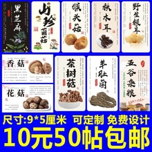 ��ľ���㻨���~�zľ�y�������^��ɽ���s�Z��֥����Ǿ��˺��N��