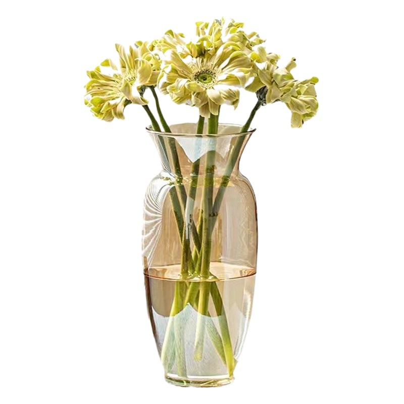 Moderno Estilo nórdico simple florero de vidrio transparente flores acuáticas galvanoplastia florero mesa de comedor modelo decoración de la habitación