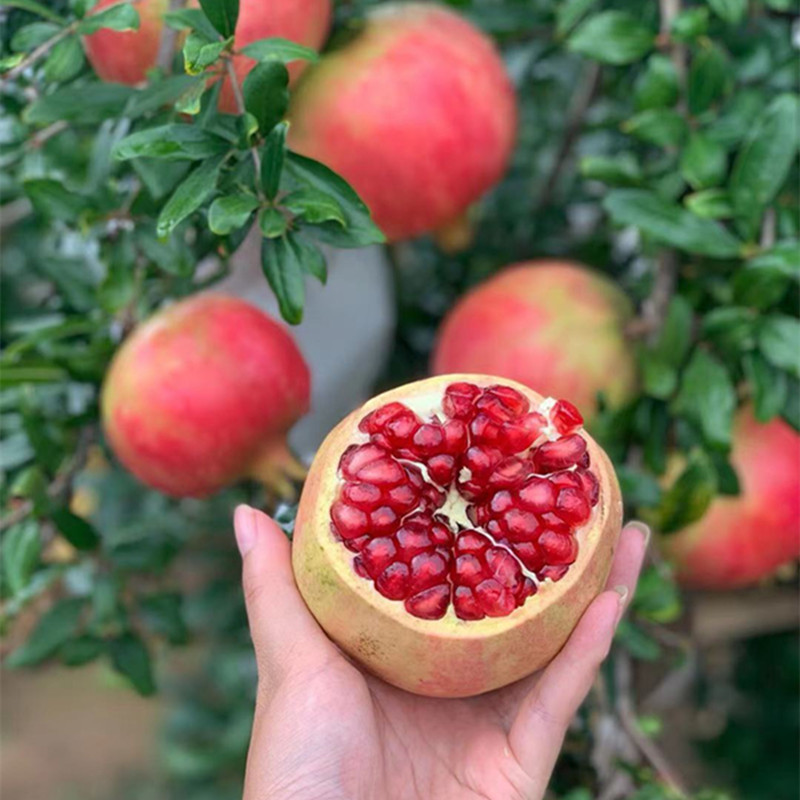 1871f73c1ecb87a5d40bfa56b34857