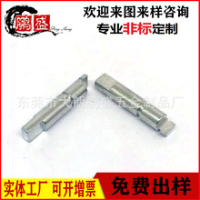 lעX݆S ֱ늙CBNS X݆俨ۂSɁD