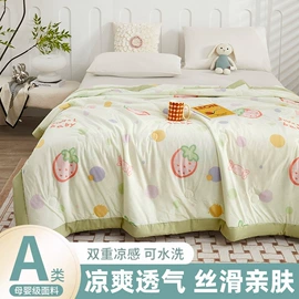 蚊帐、床幔;沙发垫/套;夏凉被
