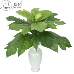 �ߙn���������70cm��֦�ָПo�������~���ԽM�b��֦�@�־��^�b�