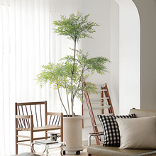 ����ֲ��Gֲ��ؔ[���͏d�b����Լ٘������񱱚W�҃ȴ����辰